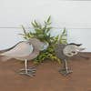 Set of 2 Silver Etched Birds