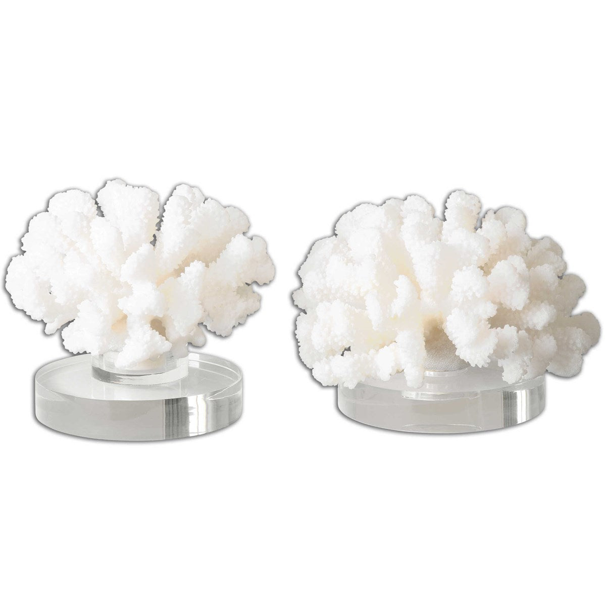 HARD CORAL SCULPTURE
