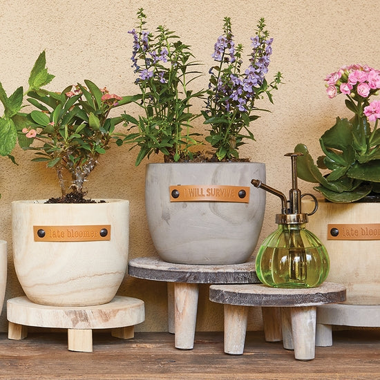 I Will Survive Wood Planter