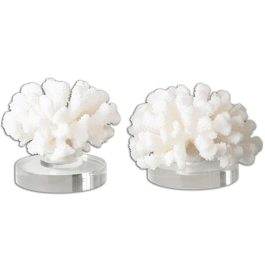 HARD CORAL SCULPTURE