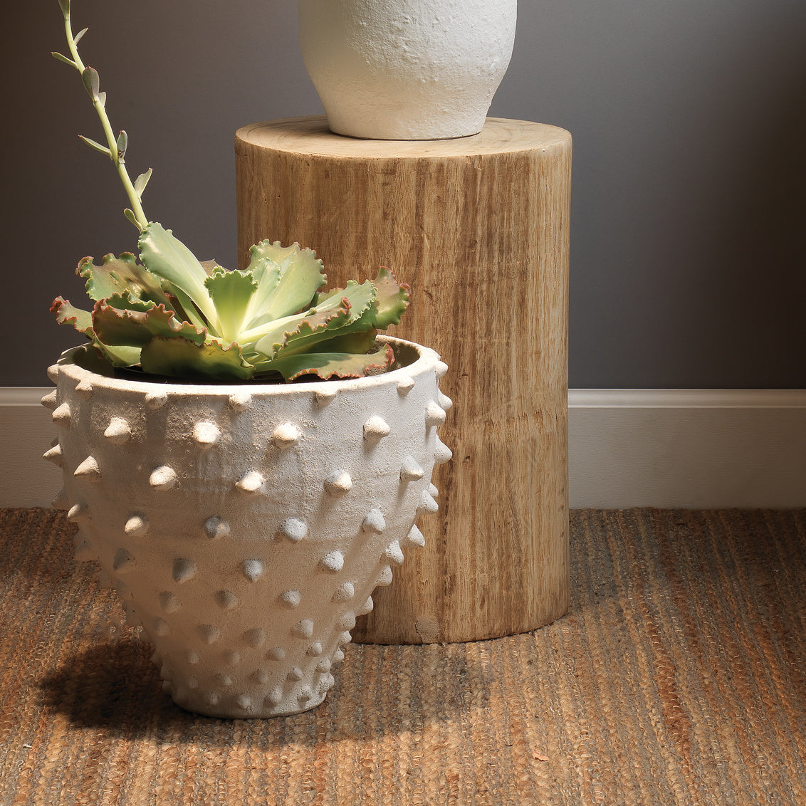NEW Agave Side Table